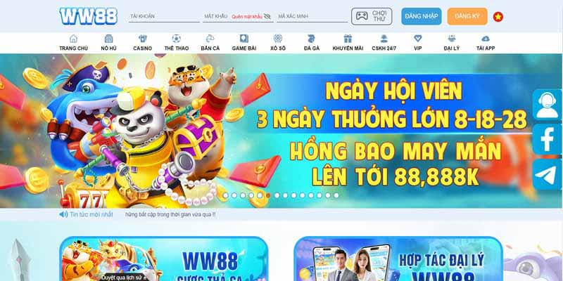 Tìm hiểu các yêu cầu cơ bản trước khi đăng nhập vào tài khoản nhà cái