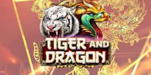 Rồng Hổ WW88 – Game Cá Cược Hấp Dẫn Cho Mọi Người Chơi
